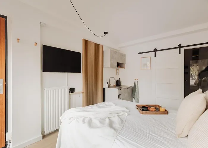 Luxurious Private Zuid Appartement Amsterdam